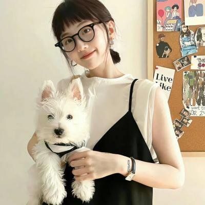 公主复仇者